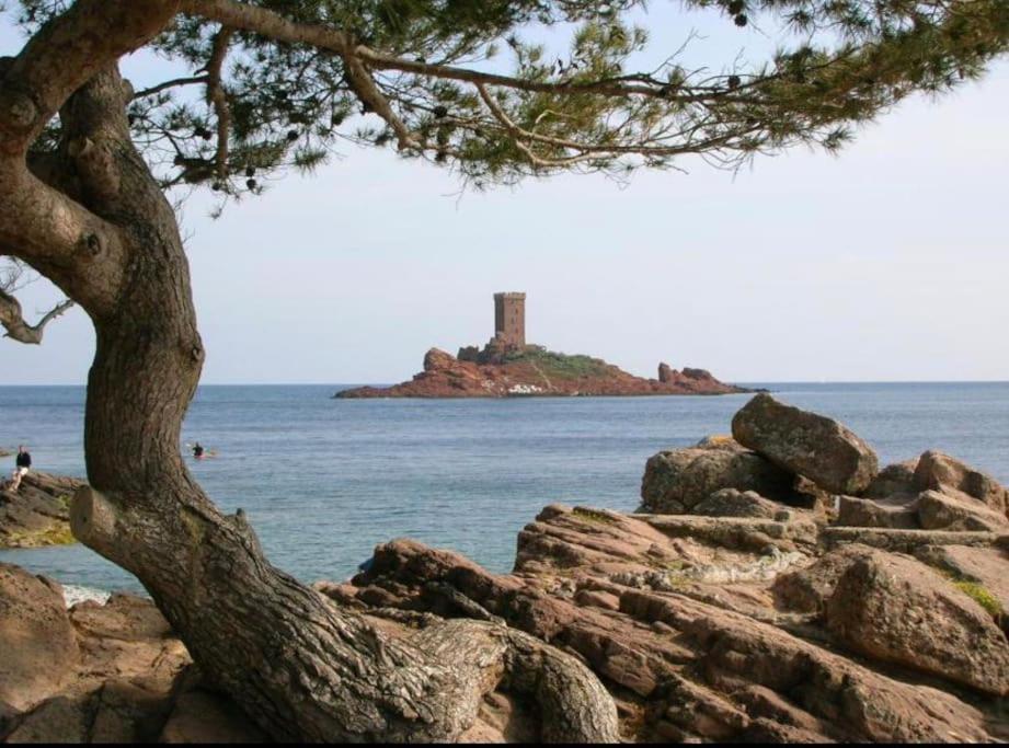 Chaleureux Appartement Face Au Port Sta Lucia, Tout A Pieds, Wifi Saint-Raphaël Exteriör bild
