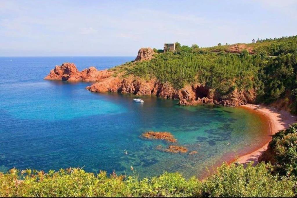 Chaleureux Appartement Face Au Port Sta Lucia, Tout A Pieds, Wifi Saint-Raphaël Exteriör bild